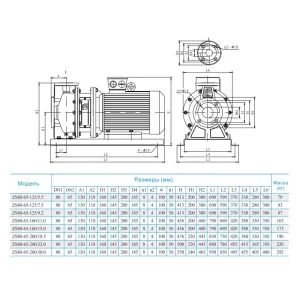 Консольно-моноблочный насос CNP ZS 80-65-200/30 SSC (ЦНП) Консольно-моноблочный насос CNP ZS 80-65-200/30 SSC (ЦНП)